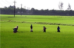 Đầu tuần Bắc Bộ chuyển nắng đẹp, khô ráo